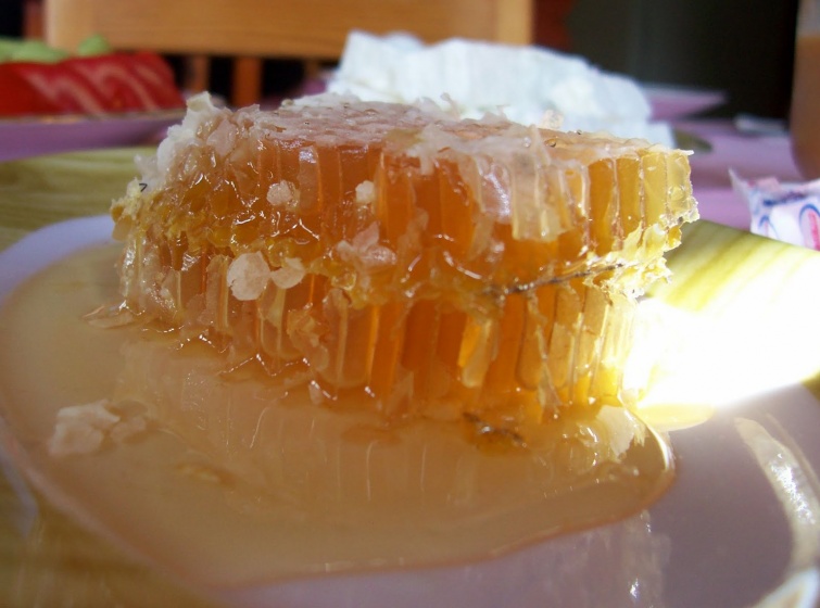 Почему мёд засахаривается, но испортится не может